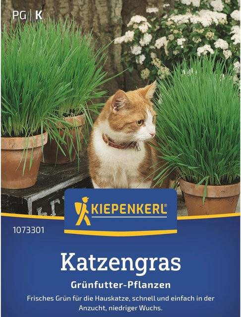 Kiepenkerl Katzengras Mischung Grün 1,0 kg - Bild 1