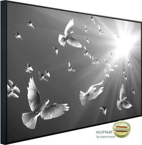 papermoon EcoHeat Infrarotheizung Tauben Schwarz Weiss mit Matt-Effekt, App-Steuerung und Überhitzungsschutz - Bild 1