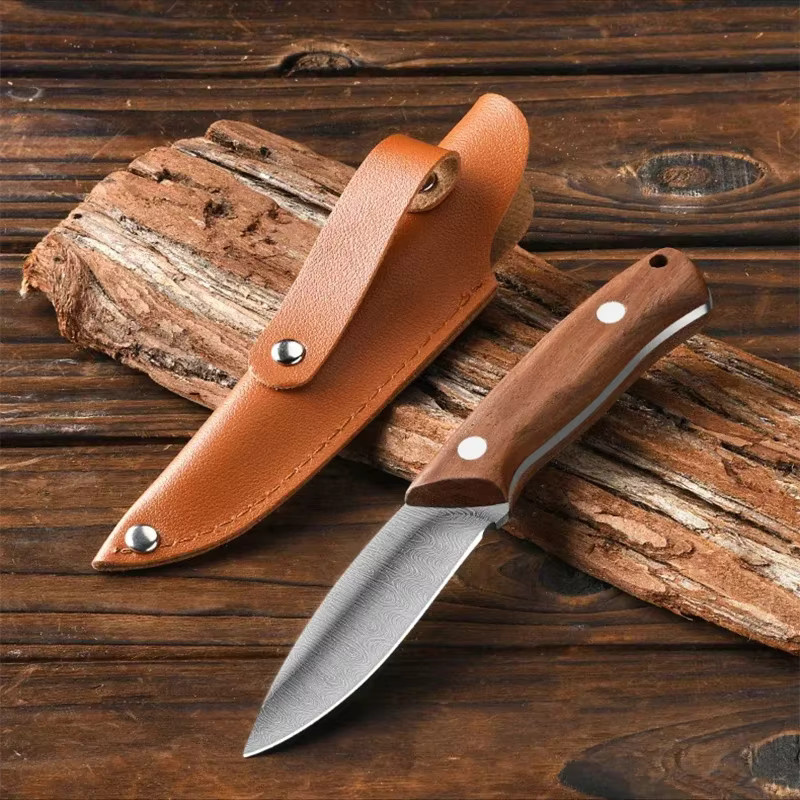 PLYS Obstmesser aus Edelstahl mit Holz-Holster zum Schneiden von Obst und Gemüse - Bild 2