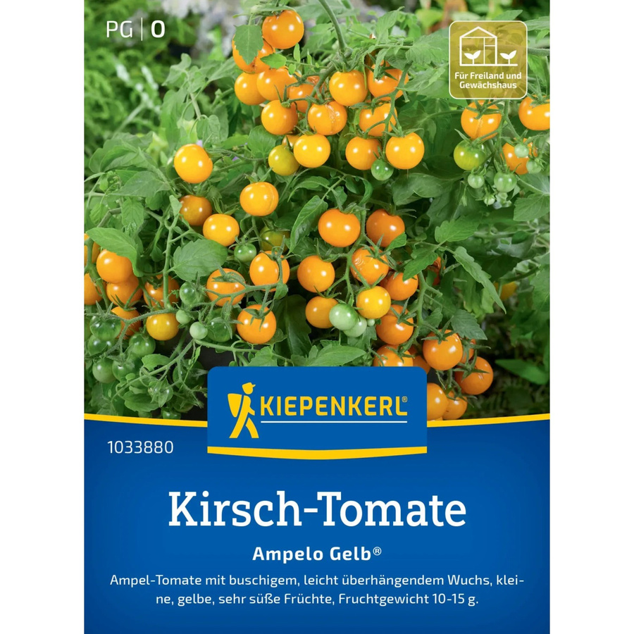 Kiepenkerl Profi-Line Kirsch-Tomate Ampel Gelb F1-Hybride Gemüsesamen für Ampeln, Balkonkästen und Kübel - Bild 2