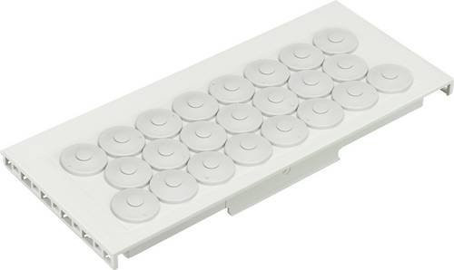 Spelsberg Flansch aus Kunststoff in Weiß 07239201 - Bild 1