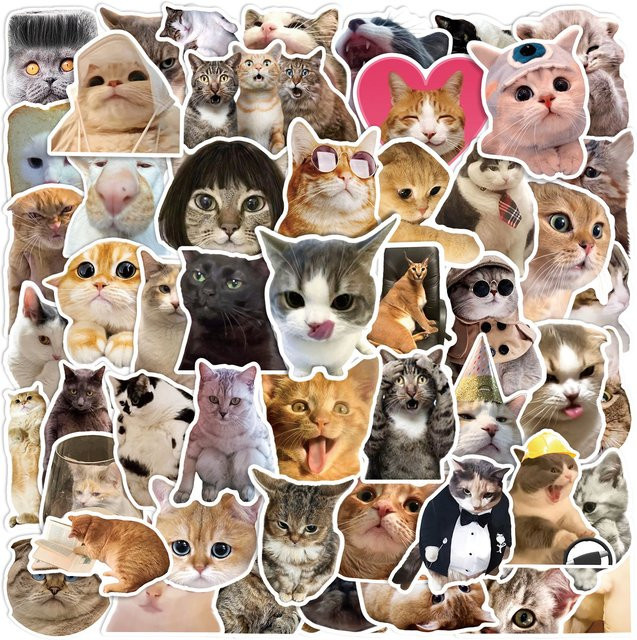 50er-Pack Realistische Katzen-Cartoon-Emotionsaufkleber aus wasserfestem PVC in Multicolour für Wasserflaschen, Gitarren und Notizbücher - Bild 1