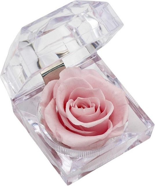 Suansuande Schmuckschatulle aus ABS und Acryl in Rosa für deine Accessoires - Bild 1