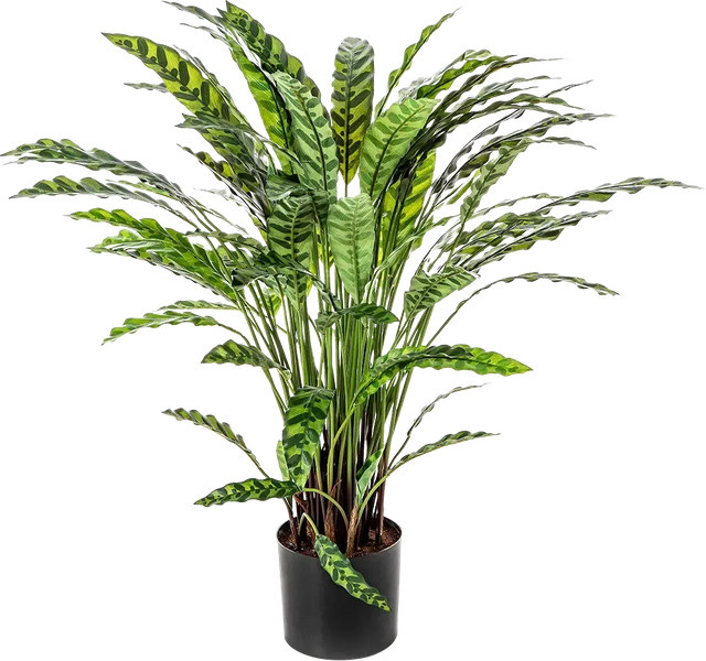 Künstliche Calathea Jane von Aplanta in Grün, Höhe: 84 cm - Bild 1
