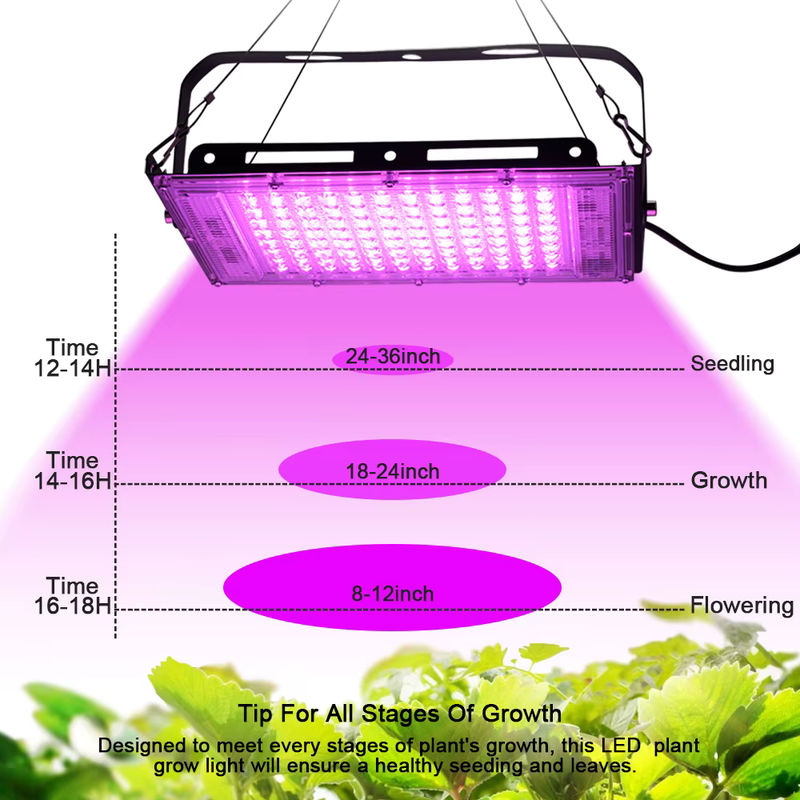 YNL Full Spectrum LED Pflanzenlampe für Gewächshaus und Hydrokultur mit EU-Stecker - Bild 4