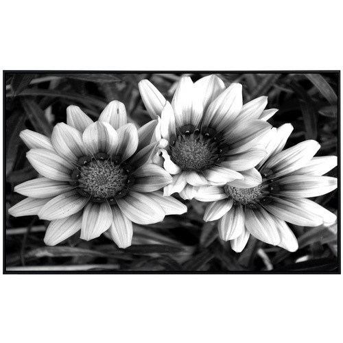 papermoon EcoHeat Infrarotheizung mit Blumen-Design in Schwarz und Weiss, Matt-Effekt, mit App-Steuerung und WLAN - Bild 2