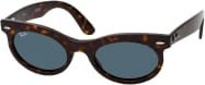 Ray-Ban RB 2242 Sonnenbrille, Vollrand, Panto, Kunststoff, Unisex - Bild 1