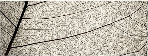 mySPOTTI Rückwand Struktur in Weiß, B: 120 cm, H: 45 cm - Bild 1
