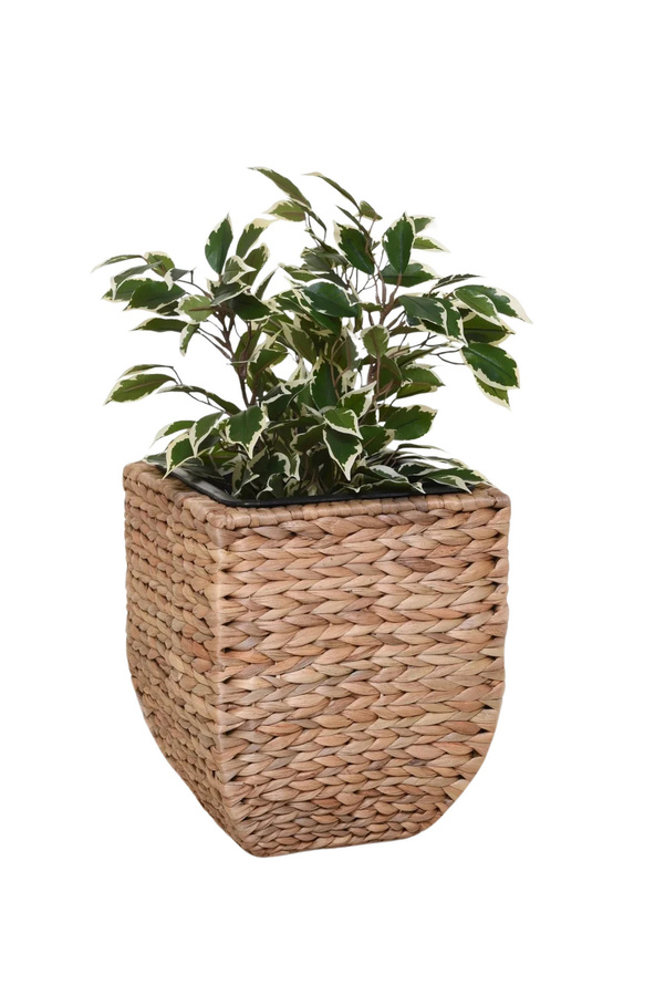 Pflanzkübel Semina von Aplanta in Rattan-Optik, Beige/Braun, B/T/H: 35 x 35 x 40 cm - Bild 4