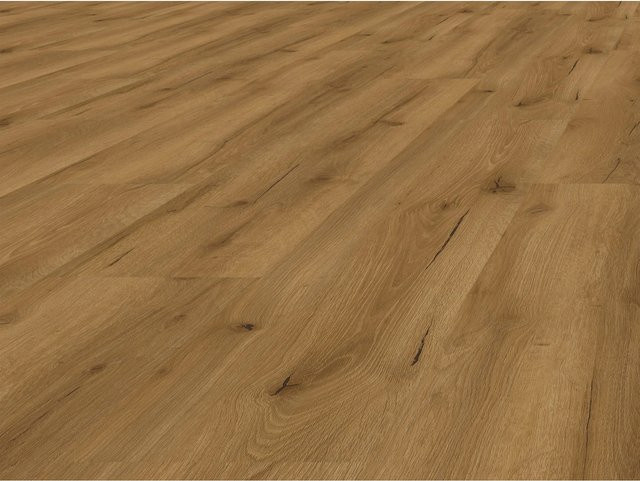 BASICfloor Vinylboden Eiche Markant Natur Landhausdiele in Beige und Braun, Glue Down Design in Holzoptik - Bild 1