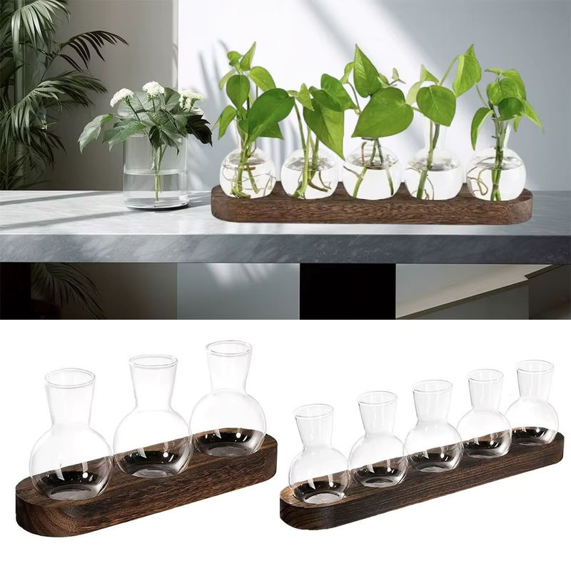 Moderne Pflanzenterrarium-Vermehrungsstation aus Glas und Holz mit flaschenförmigen Vasen in Transparent und Braun - Bild 3