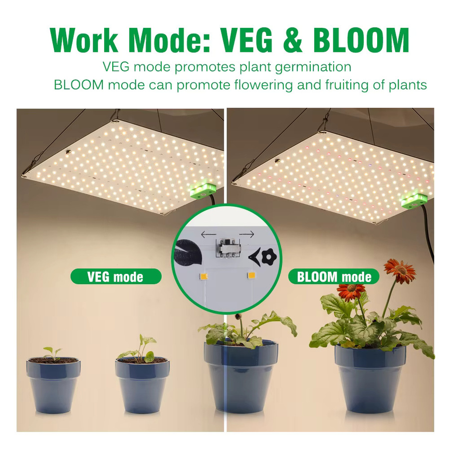 GRAXGROW Vollspektrum LM281B LED Pflanzenlampe mit einstellbarem Spektrum für Hydroponik und Gewächshäuser in allen Wachstumsphasen - Bild 4