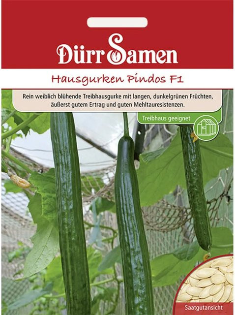 Dürr Samen Hausgurken Pindos F1 Saatgut 155 g - Bild 1