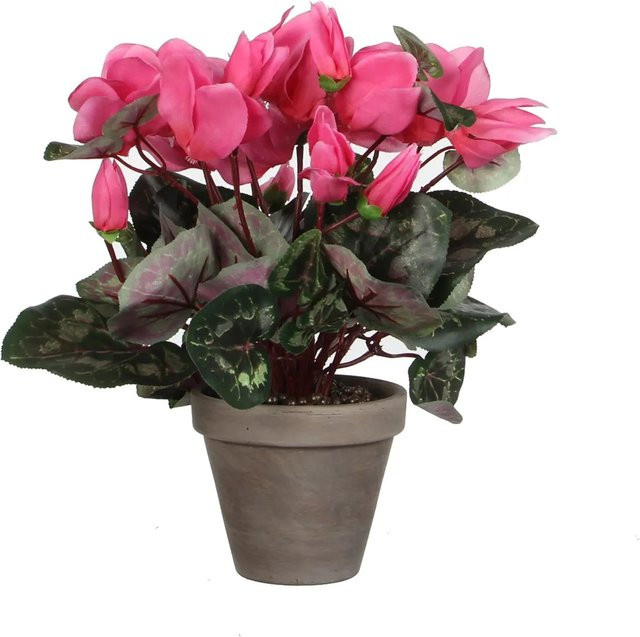 Mica Decorations Kunstpflanze Zyklamen im Topf Violett B: 30 cm, T: 30 cm, H: 30 cm - Bild 1