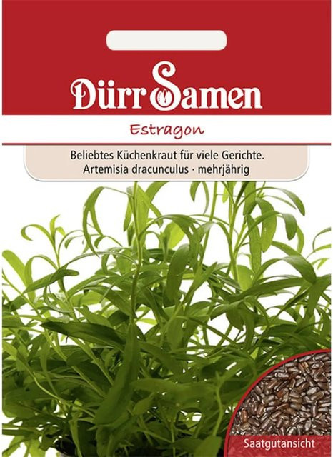 Dürr Estragon Saatgut 8 g - Bild 1
