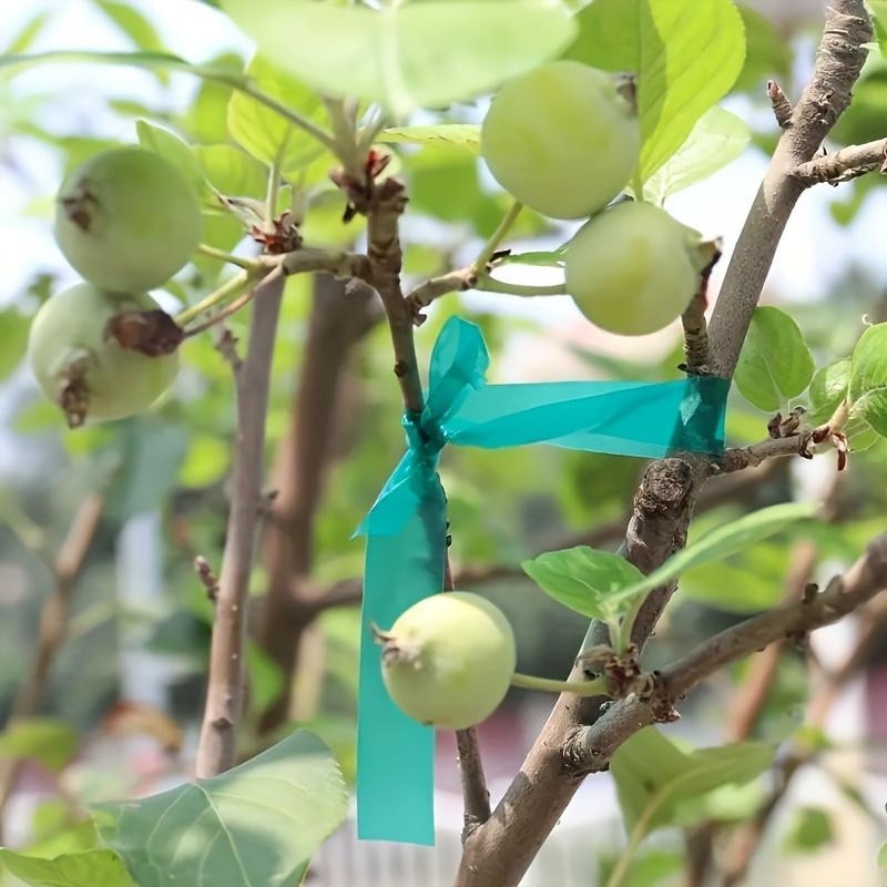 SZ-JZQ Stretch-Bindebandrolle aus Vinyl in Grün, 4 Rollen robustes Pflanzenband für Garten, Terrasse sowie Innen- und Außenbereich, Länge: 45 m - Bild 2