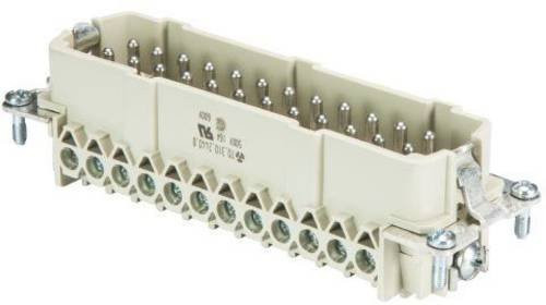 Wieland Electric Stifteinsatz BAS 70.310.2440.0, Gesamtpolzahl 24 + PE, Farbe: Beige - Bild 1