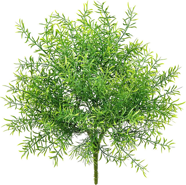 Künstliche Asparagus Pflanze Hedda von Aplanta in Grün, Höhe: 38 cm - Bild 1