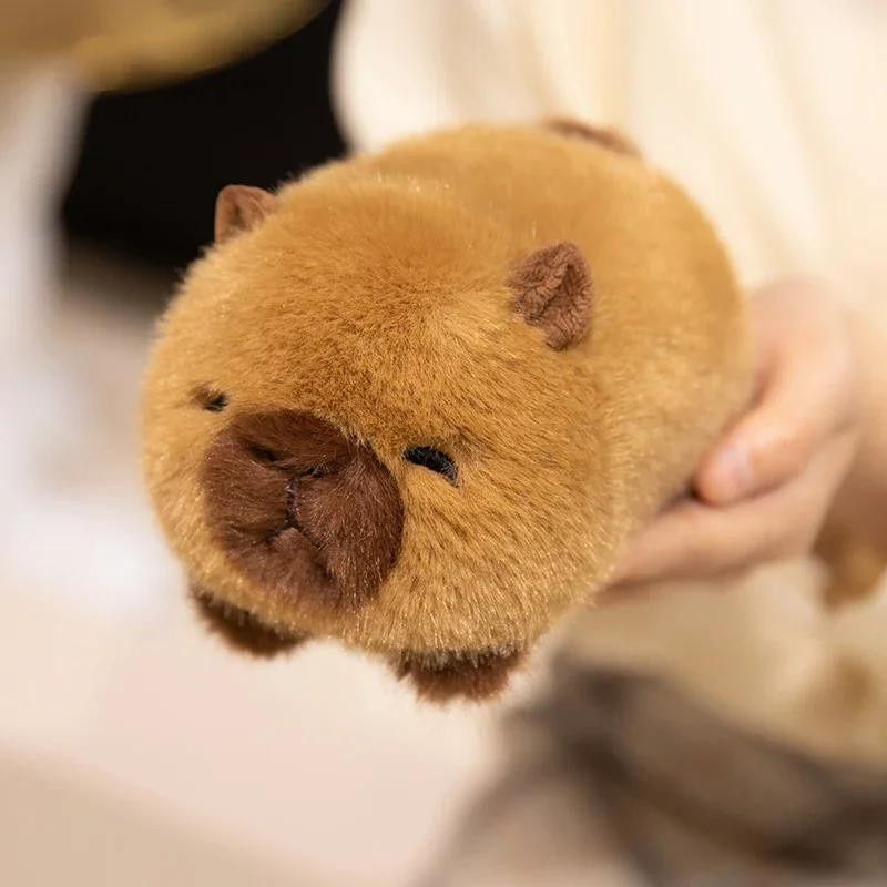 Pangcangshu Plüschtier Capybara 16cm ab 14 Jahren - Bild 2