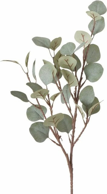 Boltze Dekozweig Eukalyptus in Grün-Braun, Höhe: 69 cm, Breite: 15 cm - Bild 1