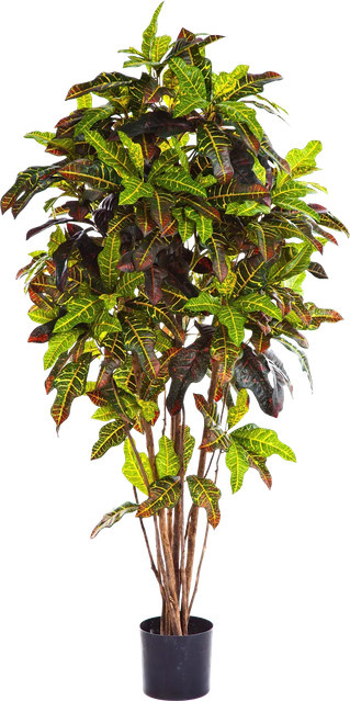 Künstlicher Croton Oriana von Aplanta, Höhe: 120 cm - Bild 1