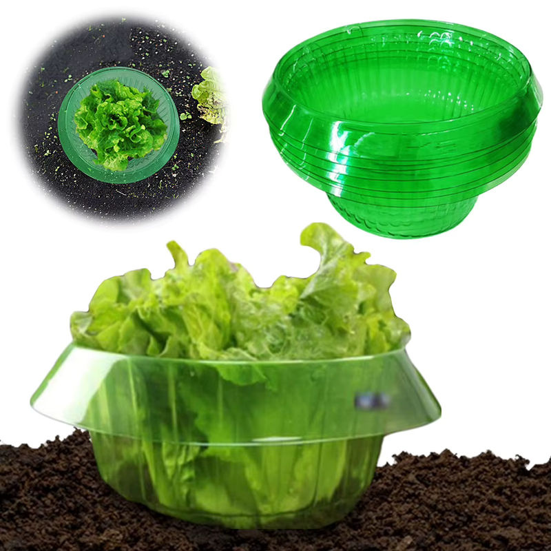 Grüner Schneckenring zum Schutz von Gemüse und Pflanzen im Garten, B/H: 24,0 x 11,5 cm - Bild 6