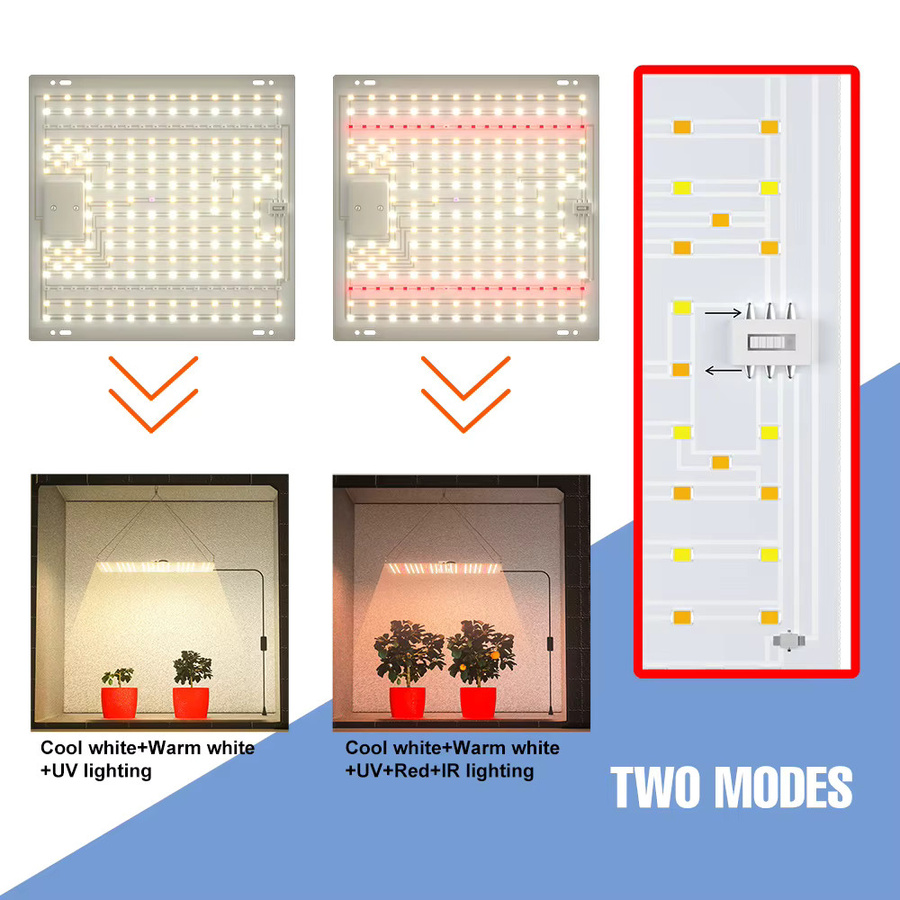 CanLing 300W LED Vollspektrum Quantum Board Anbau Lampe für Indoor Pflanzen, Obst und Gemüse - Bild 2