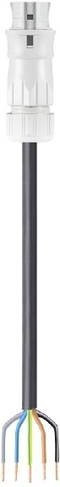 Wieland Electric 96.454.6033.0 Anschlussleitung in Grau und Mehrfarbig - Bild 1