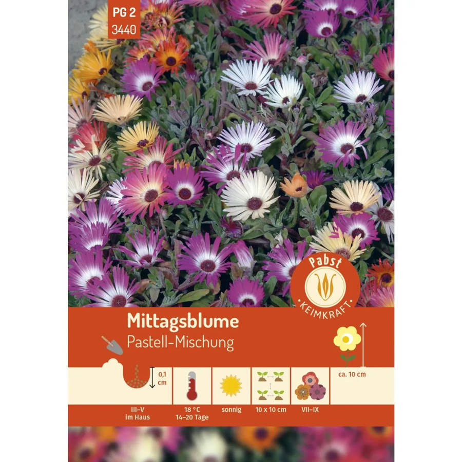 Pabst Keimkraft Mittagsblume Pastell-Mischung Saatgut für Beeteinfassungen und Steingärten - Bild 2