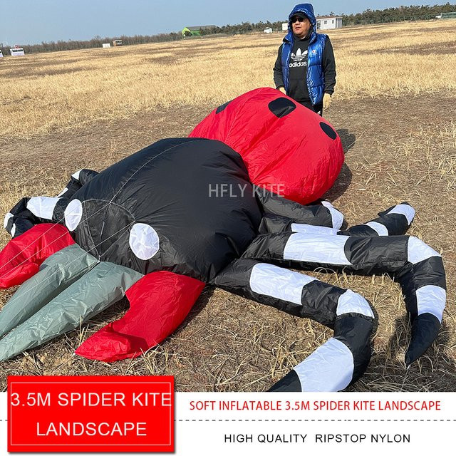 HFLY Spinnen-Landschaftsdrachen, Tiere, 3,5m - Bild 1