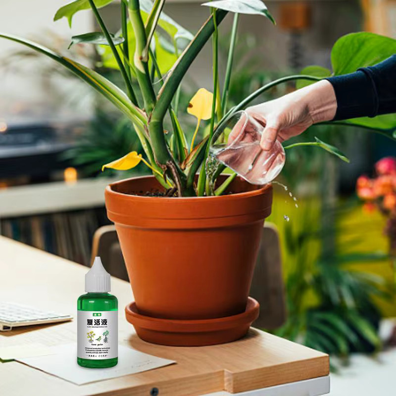 Pflanzenauferstehungsflüssigkeit als universelle Nährstofflösung für Gardenien und Orchideen zur Vitalitätssteigerung und für schnelles Wachstum, 50 ml - Bild 4