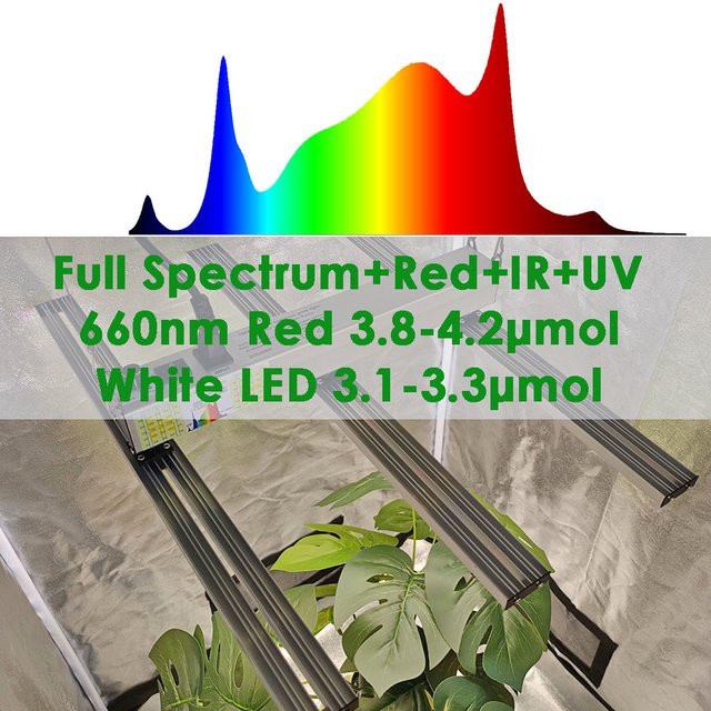 SOLIDEE Quick Spider L2 Vollspektrum-LED-Wachstumslichtlampe in Silber - Bild 1