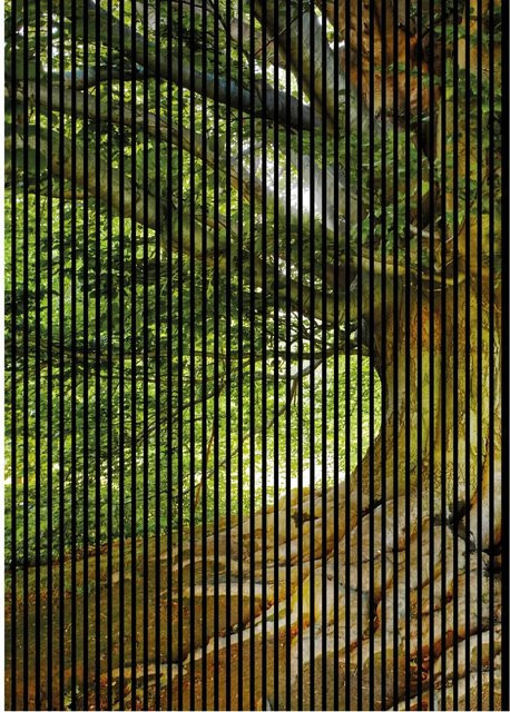 FN Acustico Akustikplatte Baum Design aus PET und MDF, Multicolor, H x B x T: 2.400 x 1.693 x 19 mm - Bild 1