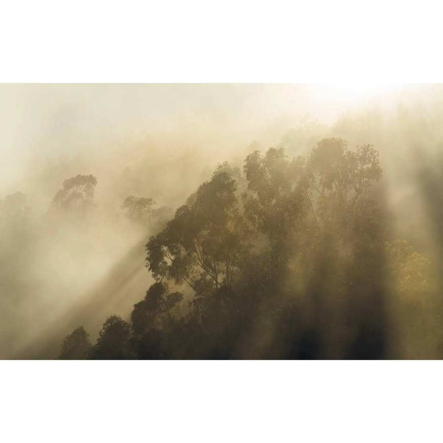 Komar Fototapete Misty Mountain aus Vlies, Breite: 400 cm, Höhe: 250 cm - Bild 2