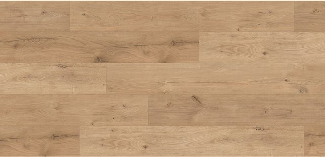 Kaindl Excellent Laminat Eiche Ferrara Beachlin in Braun, Stärke: 8 mm - Bild 1