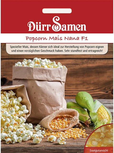 Dürr Popcorn Mais Nana F1 Saatgut 155 g - Bild 1