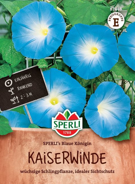 SPERLI Kaiserwinde-Samen Blaue Königin in Blau - Bild 1