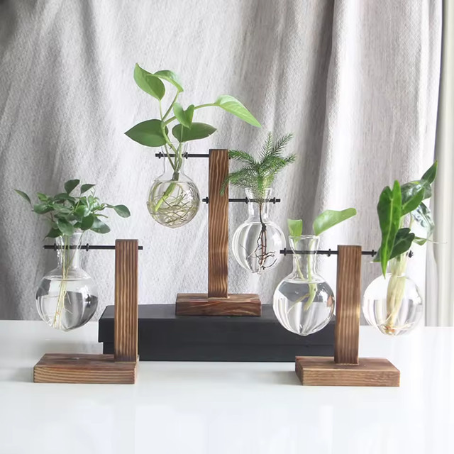 PGY Hydroponisches Glas-Tischpflanzgefäß in Glühbirnen-Form mit Holzständer, transparent - Bild 1