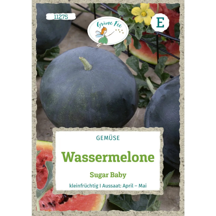 Grüne Fee Wassermelone Sugar Baby Saatgut - Bild 2
