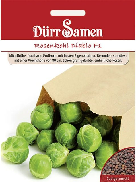 Dürr Rosenkohl Diablo F1 Saatgut für die Frühsaat - Bild 1