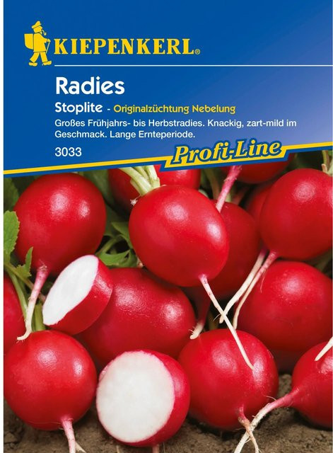 Kiepenkerl Radieschen Stoplite Gemüse rot - Bild 1
