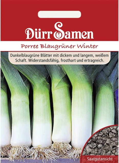 Dürr Lauch Blaugrüner Winter Saatgut Gemüse 400 g - Bild 1