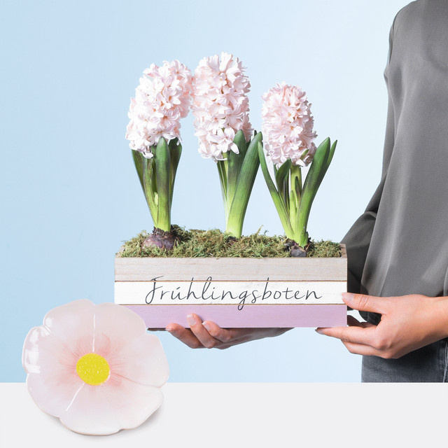 BLUME2000 Frühlingsbote mit Blüten-Dekoteller und Topf - Bild 1