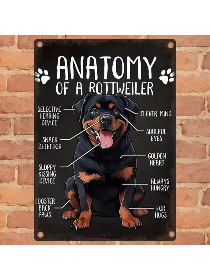 Vintage Rottweiler Anatomie Metall-Wandkunst von Potdemiel in Schwarz, B: 20,3 cm, H: 30,5 cm - Bild 6