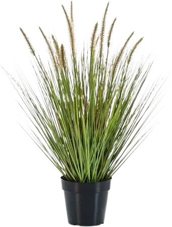 Künstliches Lampenputzergras artplants in Grün, Höhe: 71 cm - Bild 1