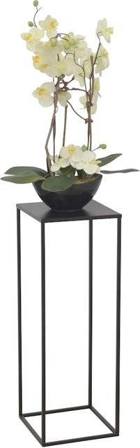 Blumenständer Ines XL von möbel direkt online in Metall, Modern, Höhe: 70 cm, Breite: 25 cm, Tiefe: 25 cm - Bild 1