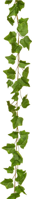 Künstliche Efeu Girlande Marlies von Aplanta, grün, Länge: 220 cm - Bild 1