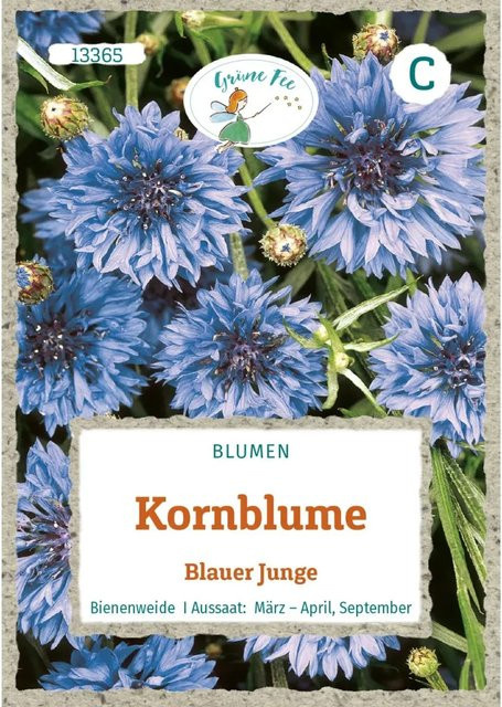 Grüne Fee Kornblume Blauer Junge Saatgut - Bild 1