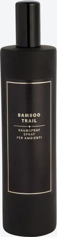 NKD Raumspray Schwarz 100 ml - Bild 1