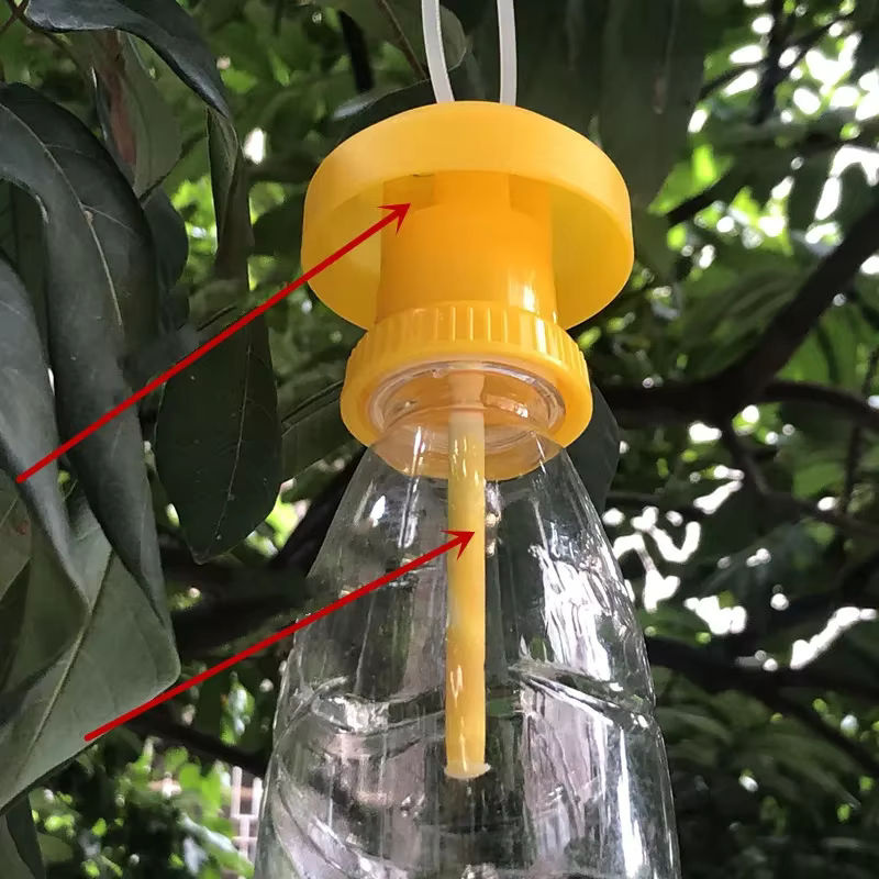 Gelbe Insektenfallen für Obstgarten und Bauernhof zur Bekämpfung von Fliegen und Bienen - Bild 2